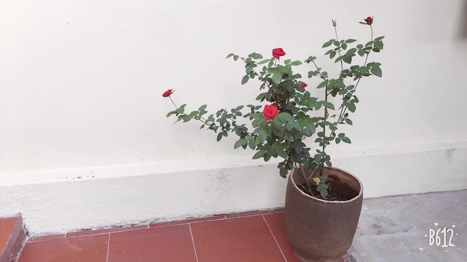 נין בין Van Long Family Homestay מראה חיצוני תמונה
