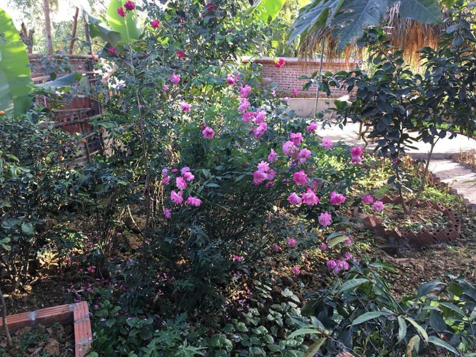 נין בין Van Long Family Homestay מראה חיצוני תמונה